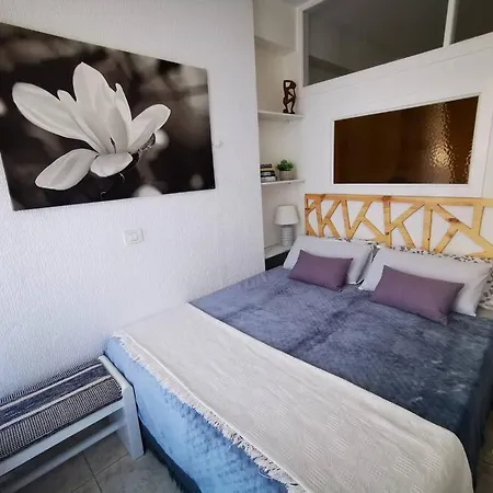 Apartment Estudio Ana