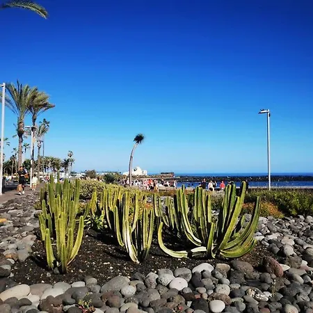 Apartment Estudio Ana Puerto de la Cruz (Tenerife)