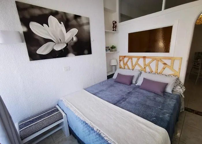 Apartment Estudio Ana